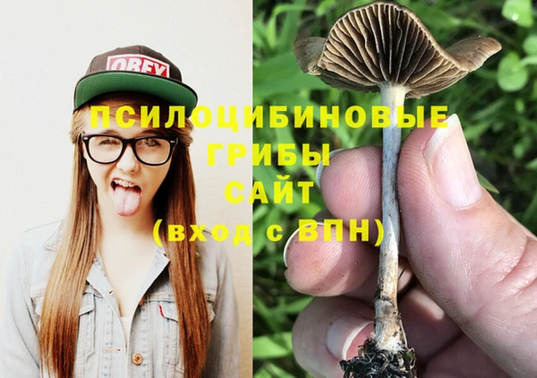 apvp Верхний Тагил